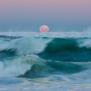 Meet your Posher, Bebe